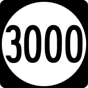 3000