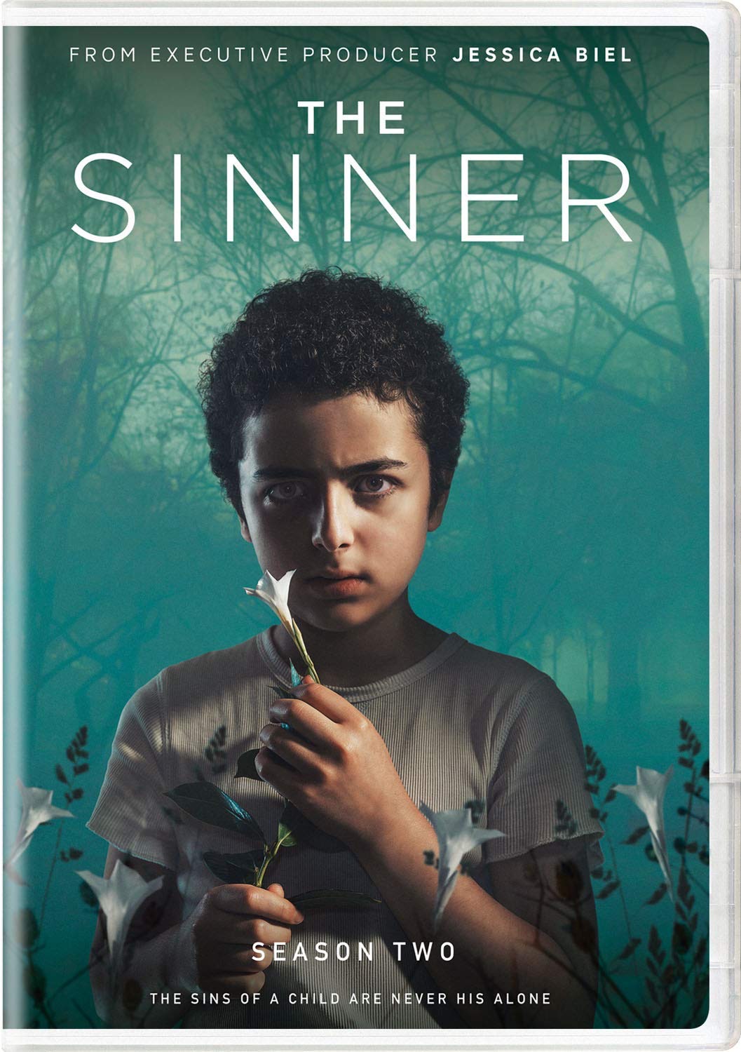 The Sinner. Segunda temporada